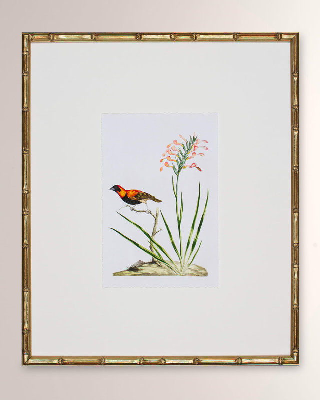 "Bird Habitat III" Framed Giclee